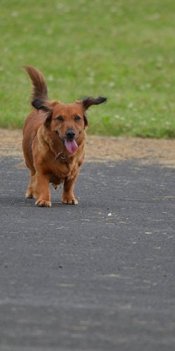 2013 Suche 29062013 Michal